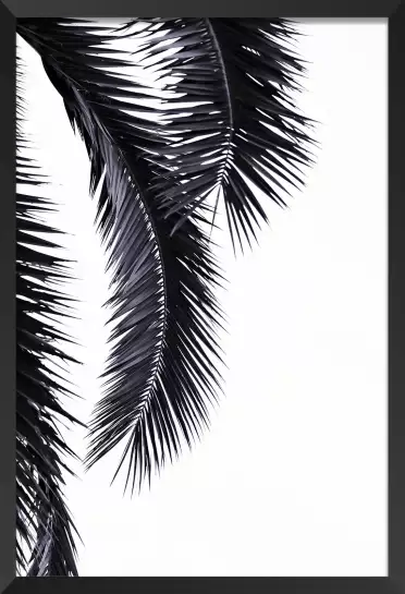 Guada - affiche feuille de palmier