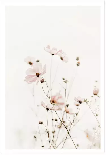 Fleurette - affiche de fleurs