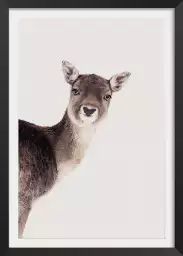 Biche - affiche animaux