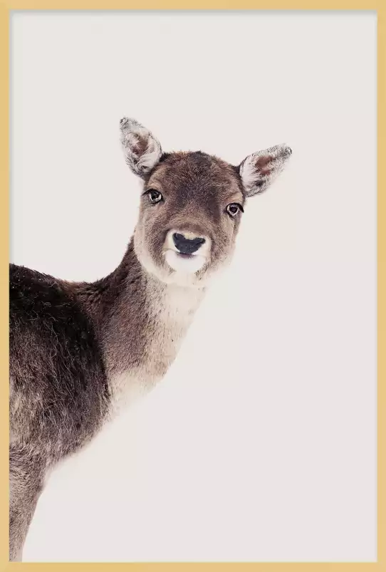 Biche - affiche animaux