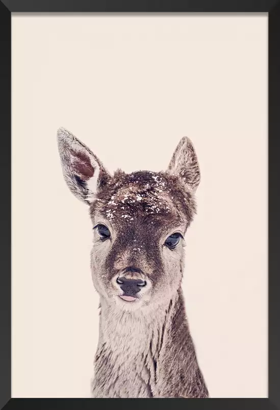 Biche enneigée - affiche animaux