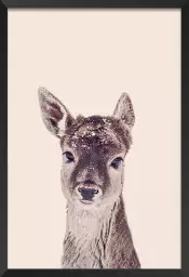 Biche enneigée - affiche animaux