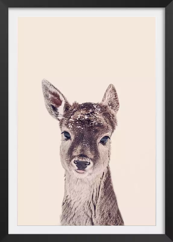 Biche enneigée - affiche animaux