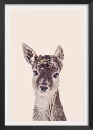 Biche enneigée - affiche animaux