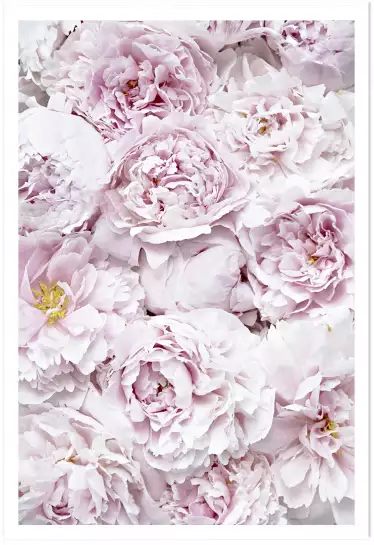 Tapis rose - affiche de fleurs