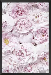 Tapis rose - affiche de fleurs