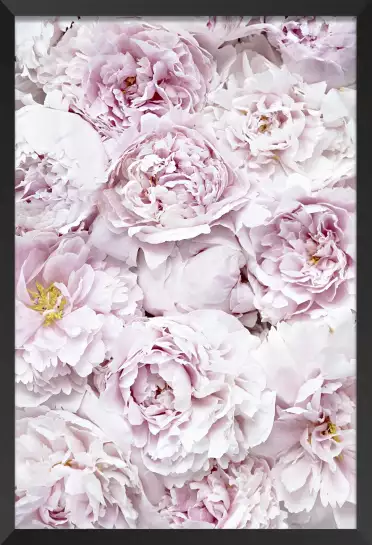 Tapis rose - affiche de fleurs