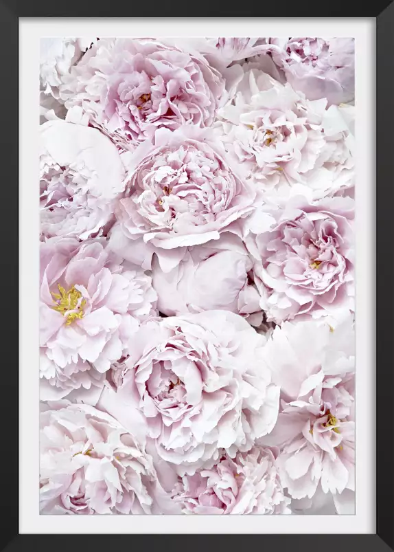 Tapis rose - affiche de fleurs