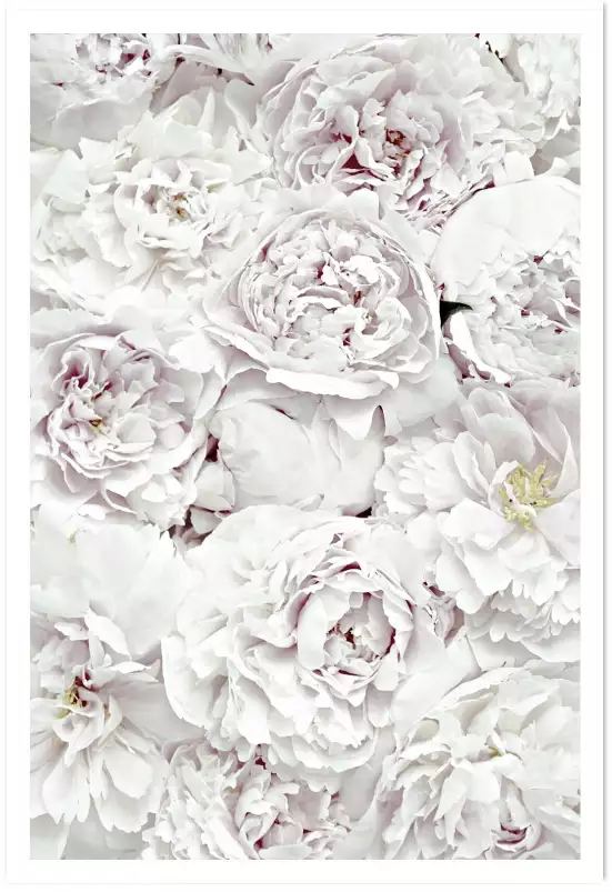 Tapis blanc - affiche de fleurs