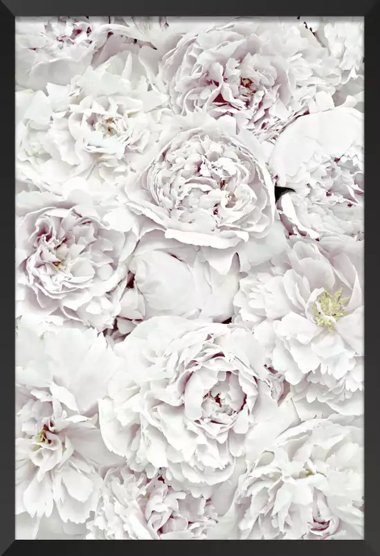 Tapis blanc - affiche de fleurs