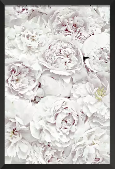 Tapis blanc - affiche de fleurs