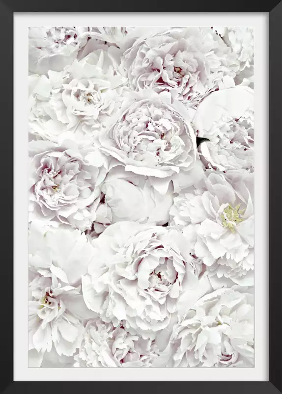 Tapis blanc - affiche de fleurs