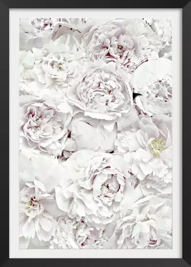 Tapis blanc - affiche de fleurs