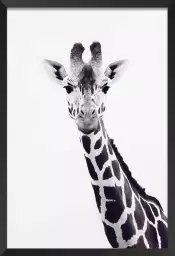 Girafe noire - affiche animaux