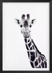 Girafe noire - affiche animaux