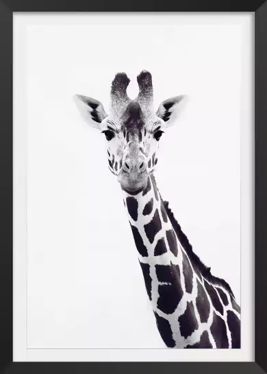 Girafe noire - affiche animaux