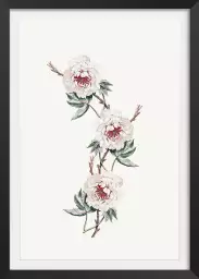 Florica - poster fleurs