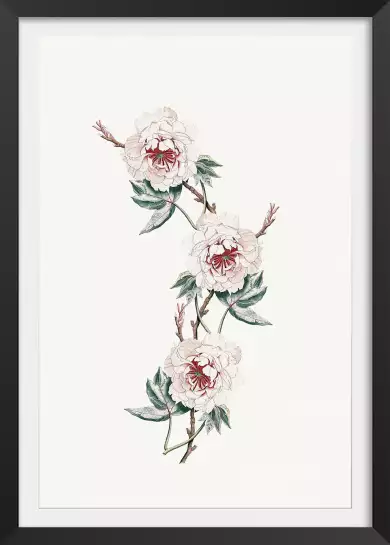 Florica - poster fleurs