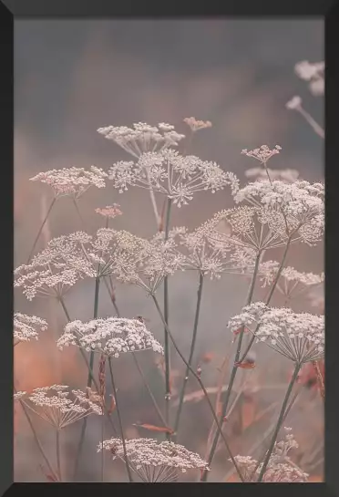 Souffle - poster plantes