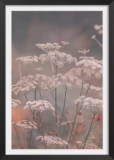 Souffle - poster plantes