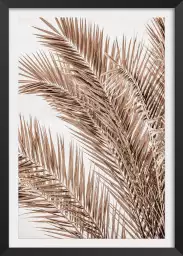 Palme ensoleillée - palmier