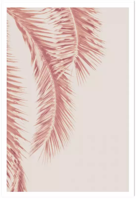 Laguna beach - affiche palmier rose