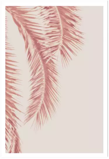 Laguna beach - affiche palmier rose