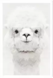 Perfect lama - affiche animaux