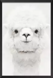 Perfect lama - affiche animaux