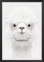 Perfect lama - affiche animaux