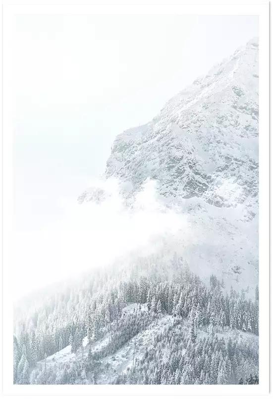 Mélèzes enneigés - affiche montagne