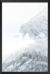 Mélèzes enneigés - affiche montagne