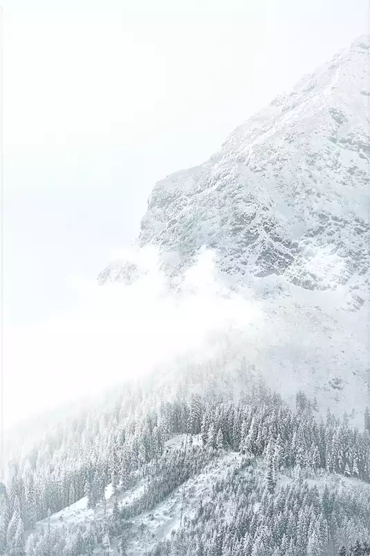 Mélèzes enneigés - affiche montagne