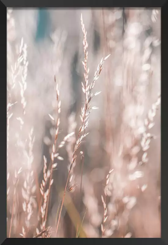 Céréale au matin - tableau plante