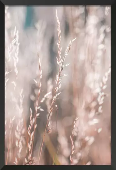 Céréale au matin - tableau plante