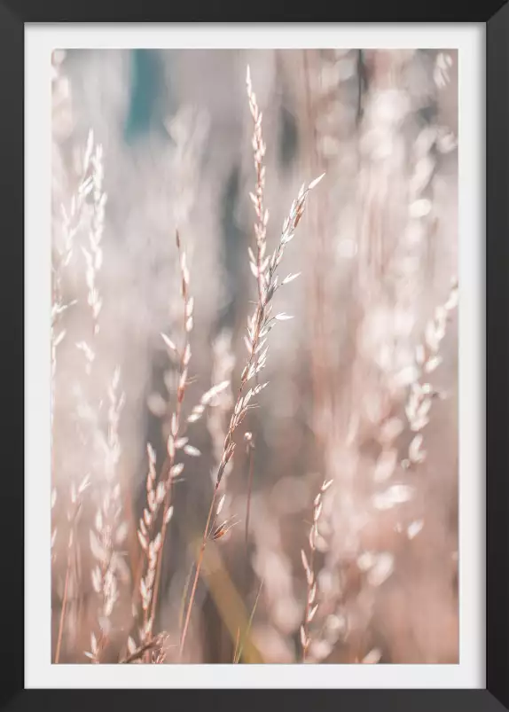 Céréale au matin - tableau plante