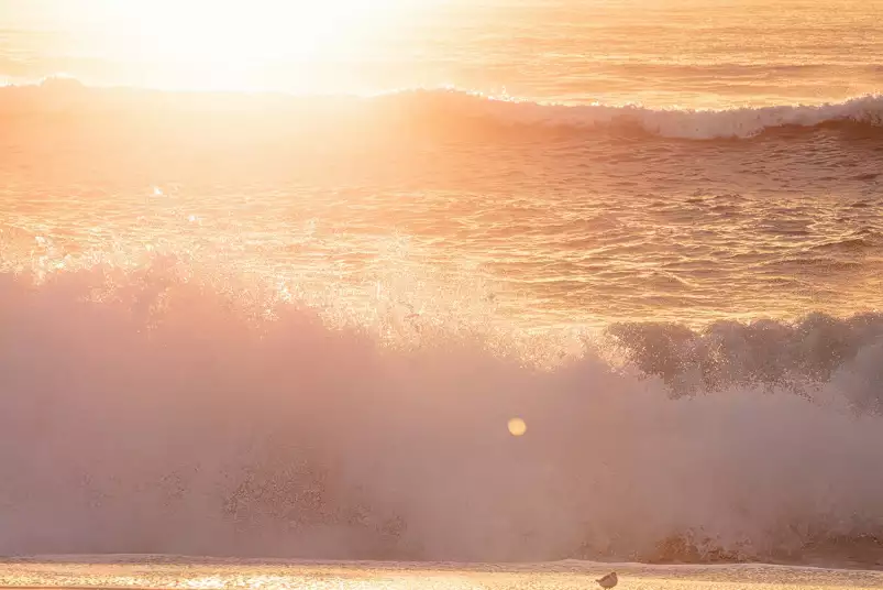 Soleil d'été au matin - affiche plage