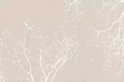 Empreinte blanche - affiche plantes