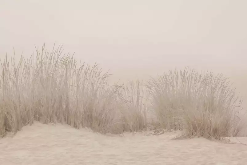 Dune blanche - abstrait tableau design