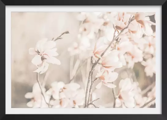 Douceur et fleurs printanières - affiche de fleurs