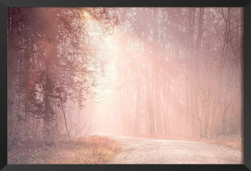 Chemin enchanté - paysage de foret