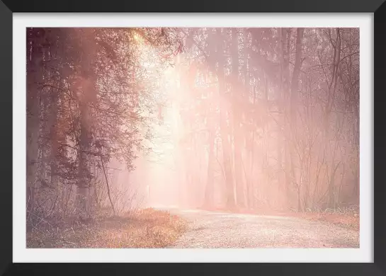 Chemin enchanté - paysage de foret