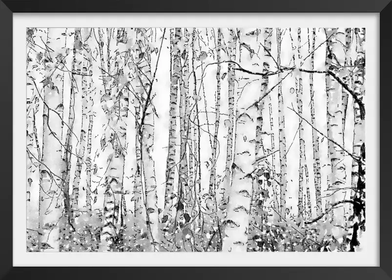 Dessin de forêt d'aulnes - paysage de foret