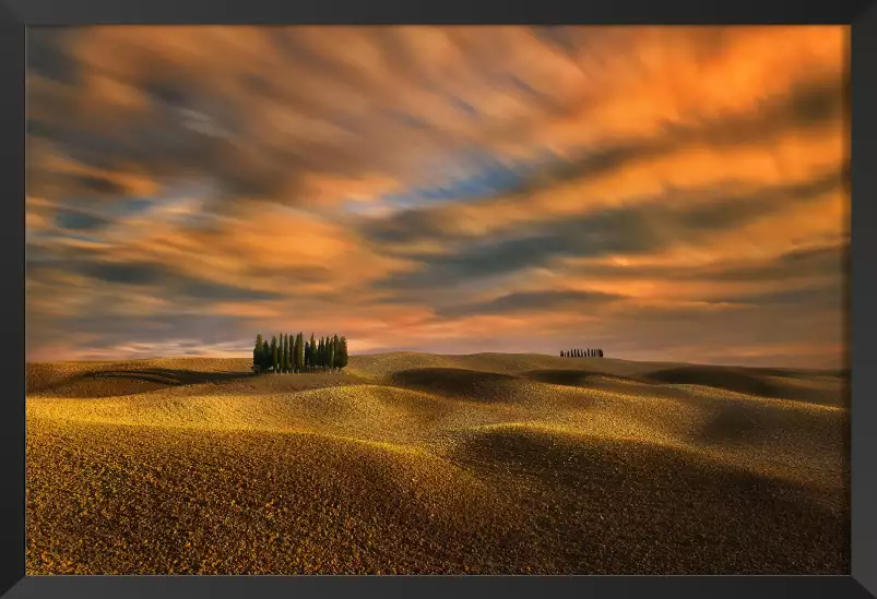 Cyprès - tableau paysage nature