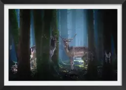 Cerfs - photo animaux de la foret