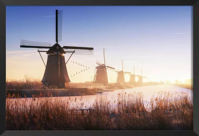 Kinderdijk - paysages d'été