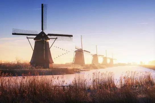 Kinderdijk - paysages d'été