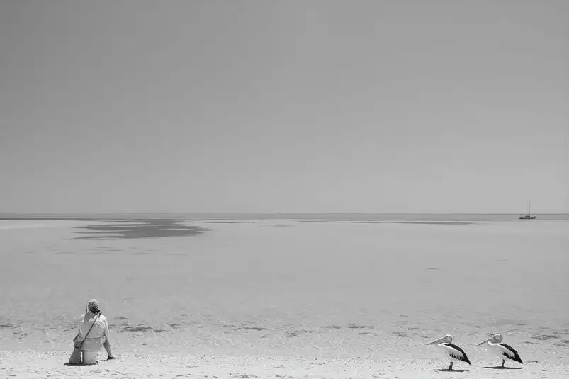 Poisson en attente - photos noir et blanc célébrités