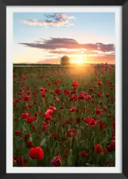 Suede en fleurs - tableau champs de coquelicots