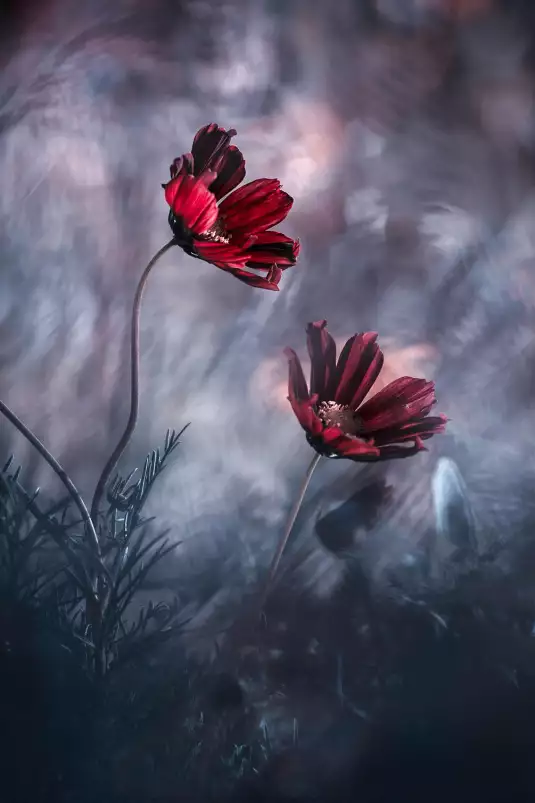 Toujours là pour toi - tableau avec coquelicot